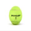 Dunlop Sports ATP Championship Extra Duty Tennis Balls - Case of 24 cans (72 Balls) view 4
