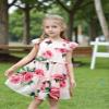 AGQT Toddler Girls Summer Dress Loose Fit Floral Print Flowy Pleated Dress Ruffle Babydoll Birthday Chiffon Dress Easter Dresses Pink Floral on Pink Size 1-2T view 2