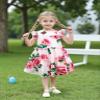 AGQT Toddler Girls Summer Dress Loose Fit Floral Print Flowy Pleated Dress Ruffle Babydoll Birthday Chiffon Dress Easter Dresses Pink Floral on Pink Size 1-2T view 3