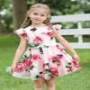 AGQT Toddler Girls Summer Dress Loose Fit Floral Print Flowy Pleated Dress Ruffle Babydoll Birthday Chiffon Dress Easter Dresses Pink Floral on Pink Size 1-2T view 4