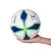 Aoneky Size 4 10-Pack Soccer Ball - Eco-Friendly 2.5mm PVC Leather, Durable Machine-Stitched Design, Ball Pump Included view 4