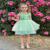 AGQT Baby Girls Birthday Tutu Dress Sequin Tulle Soft Lined Formal Princess Dresses for Party Wedding Light Green-Solid 18-24 Months view 2