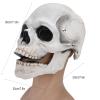 Skull Mask with Moving Jaw - Creepy Full Head Latex Mask for Cosplay & Halloween (White) view 2