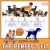 4LegsFriend Cooling Vest for Small, Medium to XLarge Dogs - Evaporative Vest for Hot Summer Days - Adjustable Cooling Jacket with Reflective Strips (Orange/Grey, Large) view 4