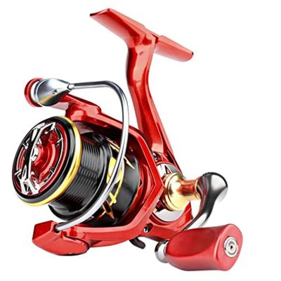 ACHETE Fishing Reels 2500 3000 5+1BB 6.2:1 High Speed Spinning Reels Drag 8kg Molinete Reel Carp Fishing Accessories (2500 Series)