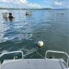 dbRopes Pontoon Mooring Lines (1/2" x 10') view 2