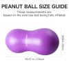 INPANY Peanut Ball - Anti Burst Exercise Ball for Labor Birthing, Physical Therapy for Kids, Core Strength, Home & Gym Fintness (Include Pump) Purple view 2