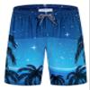 ELETOP Men's Swim Trunks Quick Dry Bathing Suit Swimming Board Shorts Mesh Lining Beach Swimwear Starry Sky Blue L view 1