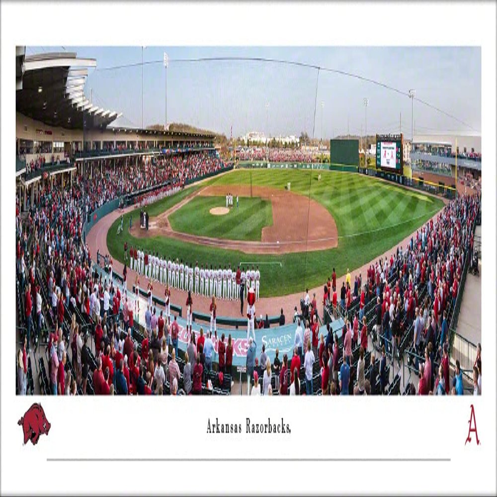 Arkansas Razorbacks Baseball - Unframed 40 x 13.5 Poster by Blakeway Panoramas