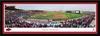 Arkansas Razorbacks Baseball - 41.5x15-inch Single Mat, Select Framed Picture by Blakeway Panoramas view 1
