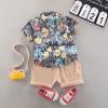 Baby Boy's Clothing Summer Kids Baby Boys Floral Print Button Down Shirt+Shorts Beach Outfits (Multicolor, 2-3 Years) view 4