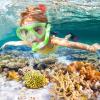 Kids Snorkel Set Dry Top Snorkeling Gear for Kids Youth Boys Girls Junior Age 5-15,Tempered Glass Swimming Diving Mask and Snorkel Set 180 Degree Panoramic View (Green) view 2