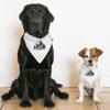 Camping Crew Pet Bandana Collar - Landscape Scarf Collar - Cool Design Dog Bandana - S view 4