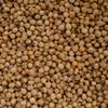 Backwoods Attraction Flamekissed Soybeans - Wildlife Attractant - 50 Pound Bag view 3