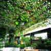 Pealihuy Camouflage Net Sunscreen Nets Camouflage Netting Jungle Camping Military Hunting Shooting Sunscreen,6X8m view 4