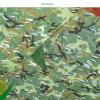 KOOEIN Hunting Camo Netting,Military Camouflage Netting,Balcony/Garden Privacy Netting,2m 3m 5m,Outdoor Sunscreen Netting with mesh,Shade,Green Camouflage Netting,HW-1.5x1m(4.9 * 3.3ft) view 3