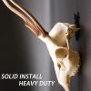 Zerodeko 6pcs Deer Skull Wall Hanging Hooks Easy Installation Skull Display Rack for Home and Outdoor Space-Saving European Mount Hanger view 2