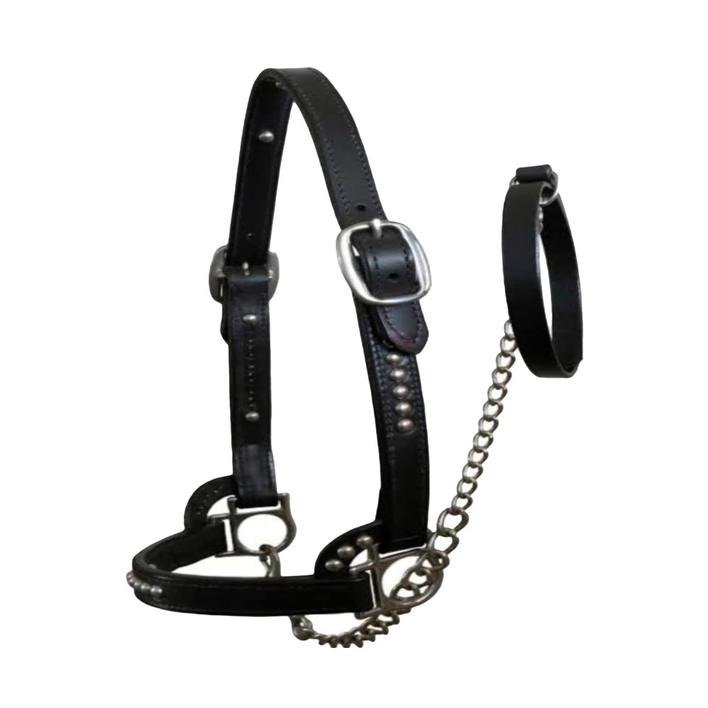 Anatomic Shaped Horse Halter Handcrafted Comfort Lined Crown Piece Lightweight by EQUESTRAIN Enterprises (Medium/Cob, Brown)