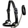 Anatomic Shaped Horse Halter Handcrafted Comfort Lined Crown Piece Lightweight by EQUESTRAIN Enterprises (Medium/Cob, Black) view 2
