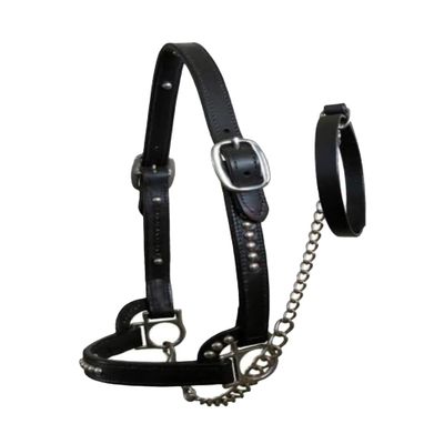 Anatomic Shaped Horse Halter Handcrafted Comfort Lined Crown Piece Lightweight by EQUESTRAIN Enterprises (Warmblood/Over, Black)