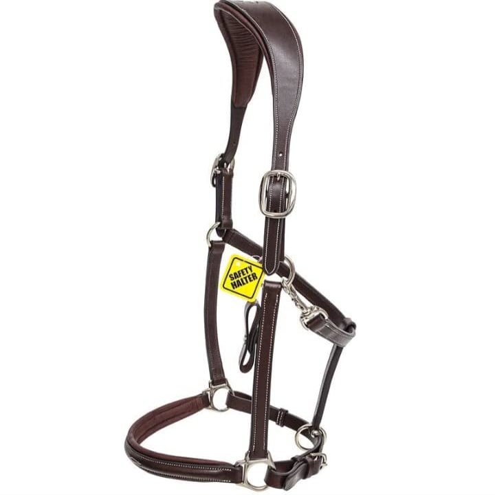 Designer Horse Halter and Hand Stoppers Handcrafted Lined Crown Piece Lightweight by EQUESTRAIN Enterprises (Warmblood/Over, Brown)