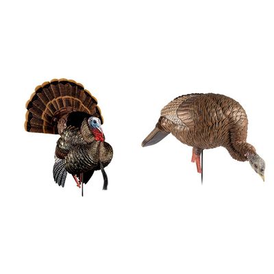 Avian-X HDR Strutter Turkey Decoy and Avian-X HDR Feeding Hen Turkey Decoy Bundle
