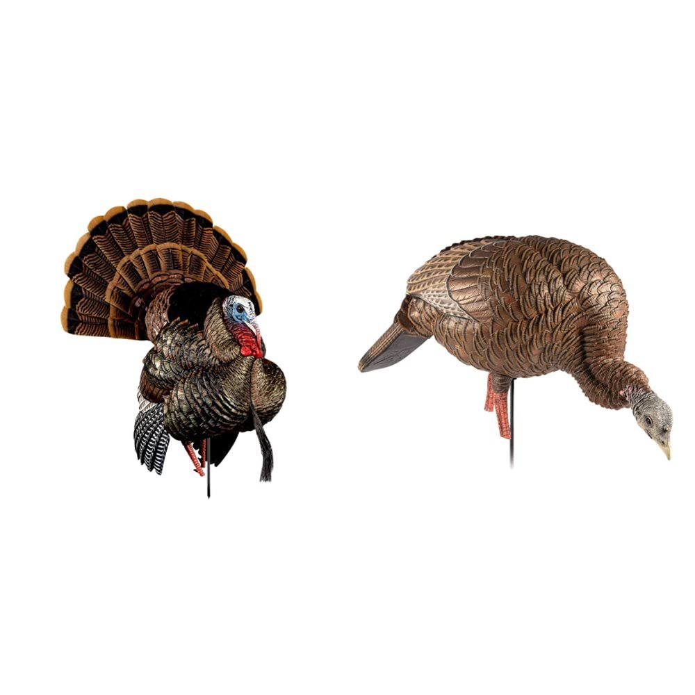 Avian-X HDR Strutter Turkey Decoy and Avian-X HDR Feeding Hen Turkey Decoy Bundle
