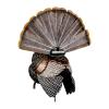 Avian-X HDR Strutter Turkey Decoy and Avian-X HDR Feeding Hen Turkey Decoy Bundle view 4