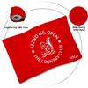 2but Standard Golf Flag USGA Golf Pin Flag Practic Putting Green Golf Flag For Backyard Garden Double-Sewn 600D Nylon Miniature Pin Flag Regulation Tube Flag 8"L x 6"H Red view 3