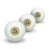 Albion College Secondary Logo Novelty Table Tennis Ping Pong Ball 3 Pack