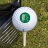 Bronx Community College Secondary Logo Novelty Golf Balls 3 Pack view 3