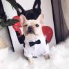 Dog Clothes cat Clothes Spring and Summer Clothes Thin Suit Shirt Suit Wedding Dress for Small Dogs view 3