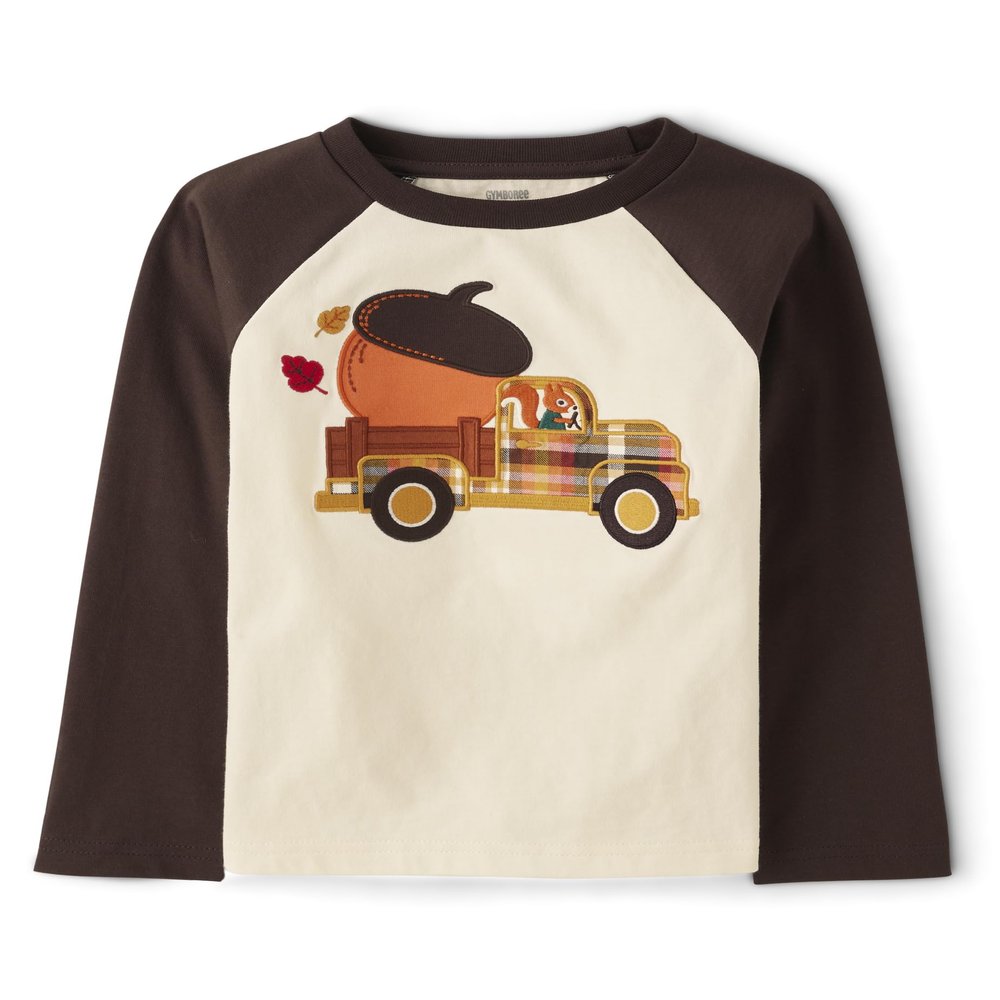 Gymboree Baby Boys and Toddler Embroidered Graphic Long Sleeve Raglan T-Shirts Shirt, Acorn Truck, 10 US