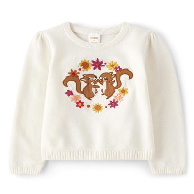 Gymboree,and Toddler Long Sleeve Sweaters,Squirrel Friends,10
