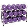 Bsetain Sports Ball Racks Upright Basketball Rack with Wheels, Double-Sided Ball Storage Display for Football Volleyball, Heavy Duty Stainless Steel Rolling Sports Cart (Size : 3-Tier) view 1