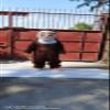 FurryMascot  Sasquatch Bigfoot Waver Custom Mascot Costume Party Carnival Costumes S M L XL XXL view 2