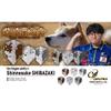 Fit Flight Shinnosuke Shibasaki Ver. 1 Shape Natural Fit Shaft Compatible view 4