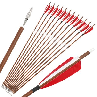 ZSHJGJR 31" Archery Carbon Arrows Spine 340 400 500 600 Hunting Arrows with Removable Tips Natural Feather Targeting Arrows for Compound & Recurve & Traditional Bow 6/12pcs (6, Red, Spine 600)