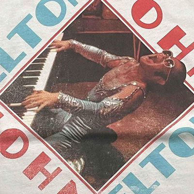 Elton John Unisex Adult Ringed T-Shirt (M) (White)