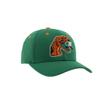 Florida A&M Rattlers NCAA Officially Licensed Snapback Hat Competitor Secondary Color view 2