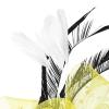 BCDlily Bridal Headpiece Headband Fascinators Hat Women Tea Party Derby Wedding Cocktail Flower Mesh Feathers Hair Accessory view 4