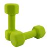 Saorzon Dumbbells Set of 2 Exercise Fitness Dumbbell for Home Gym Free Weights Hand Hex Dumb Bells Green 4LB view 1