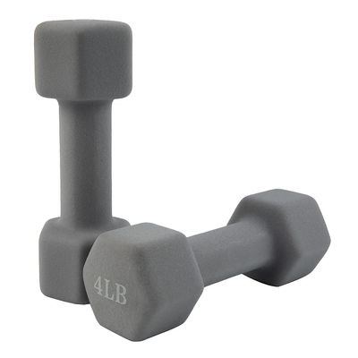 Saorzon Dumbbells Set of 2 Exercise Fitness Dumbbell for Home Gym Free Weights Hand Hex Dumb Bells Gray 4LB