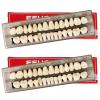 56 Pieces False Teeth, 2 Sets Whole Teeth Synthetic Polymer Denture Teeth, 23 Shade A2 Upper + Lower Dental Materials for Replacement, DIY, or Halloween view 1