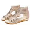 Wedge Sandals for Women Dressy Summer,Women Open Toe Sandal Hollow Out Gladiator Sandals High Top Ankle Zipper Low Heels Sandals Dressy Wedding Party Shoes Platform Sandals view 1