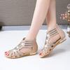 Wedge Sandals for Women Dressy Summer,Women Open Toe Sandal Hollow Out Gladiator Sandals High Top Ankle Zipper Low Heels Sandals Dressy Wedding Party Shoes Platform Sandals view 3