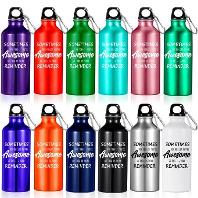 12 Pack Multicolor Aluminum Water Bottle Sometimes You Forget You're Awesome Lightweight Reusable Bike Backpacking Water Bottles Bulk with Buckle and Twist Cap Gift for Christmas Travel Sport(20 Oz)