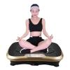 HAIZON Vibration Plate Exercise Machine - Whole Body Workout Vibration Fitness Platform w/Loop Bands - for Shaping,Toning, Wellness, Recovery view 1