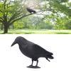 Pilipane Crow Decoys Full Body Plastic Crow decoys for Hunting, Black Crow decoys Feet Stake for Halloween Decor Yard Garden Decoration, Black view 4