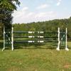 Platinum Jumps Bundle/3 Double Band Colored 10ft Cut Rails Hunter Green view 1